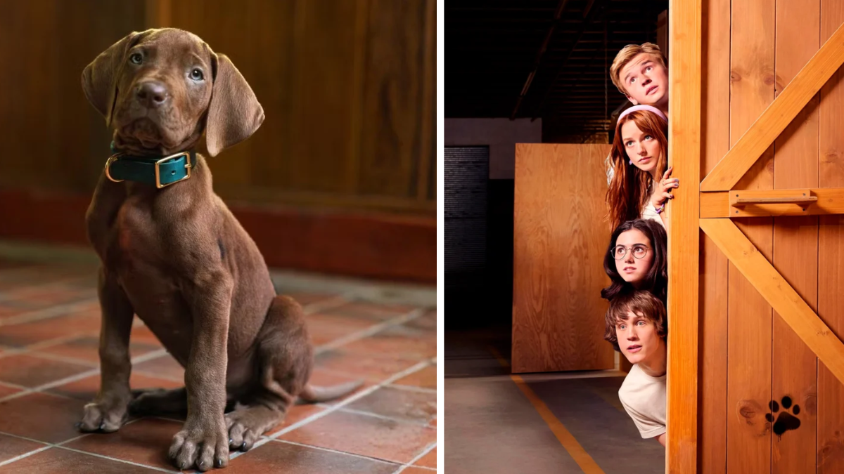 Netflix revela primeiro visual de Scooby-Doo em nova série live-action